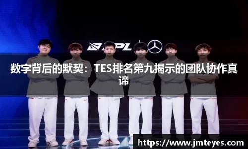 数字背后的默契：TES排名第九揭示的团队协作真谛