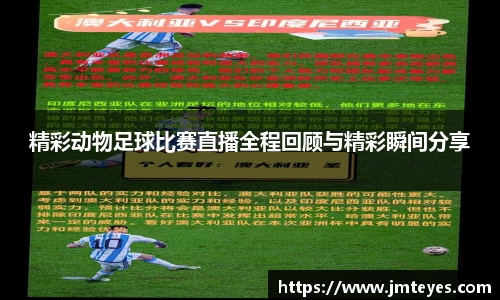 精彩动物足球比赛直播全程回顾与精彩瞬间分享